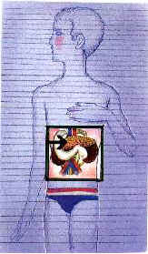 pagina4b.jpg (15169 byte)